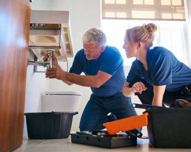 Best Plumbing Inspection Services  in Grosse Pointe, MI